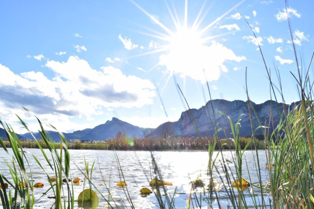Hotel Drachenwand-Mondsee Ngoại thất bức ảnh